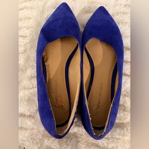 Banana Republic Women's Royal Blue Flats